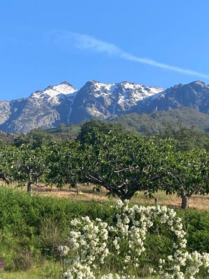 Mirada A Gredos Villa กันเดเลดา ภายนอก รูปภาพ