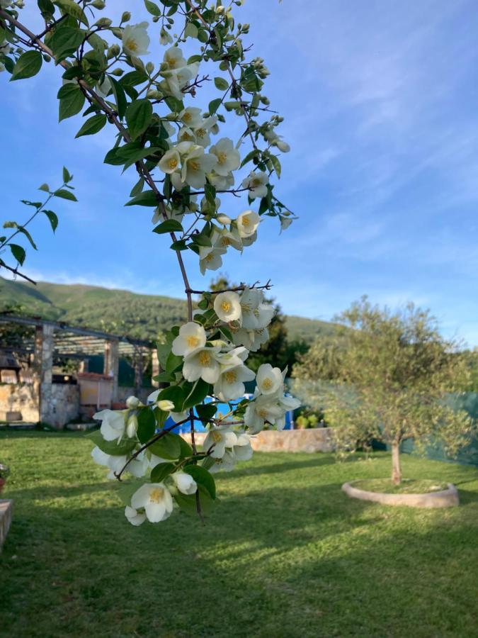 Mirada A Gredos Villa กันเดเลดา ภายนอก รูปภาพ